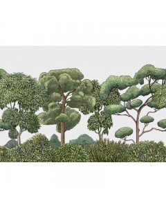 PAPEL GREEN FOREST